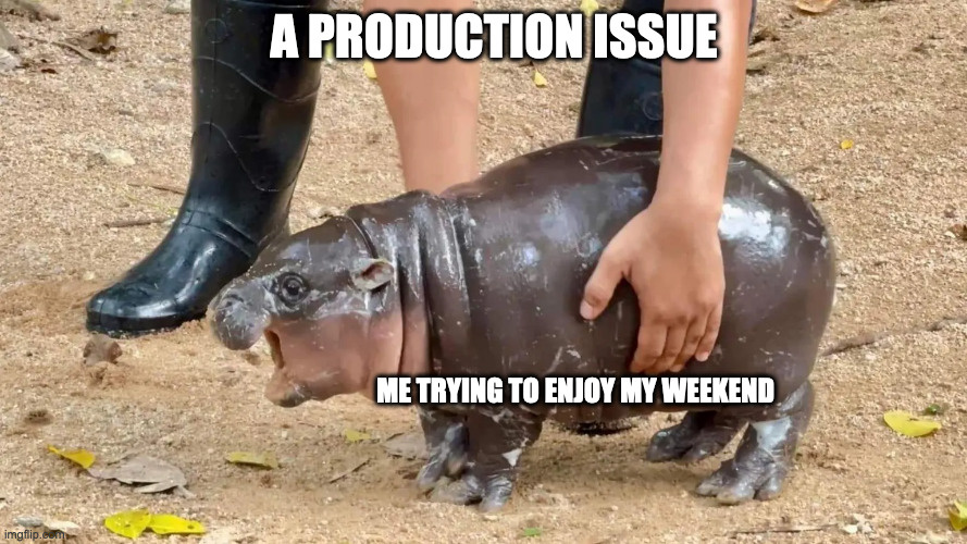 DevLeaderCa's tweet image. That's okay, that's okay... I didn't have plans 🥲

#Coding #Programming #SoftwareEngineering