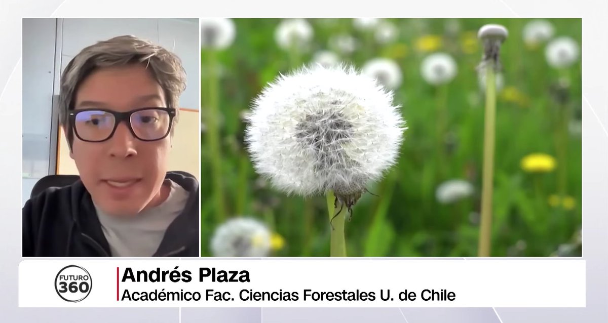 Facultad de Ciencias Forestales UChile tweet media