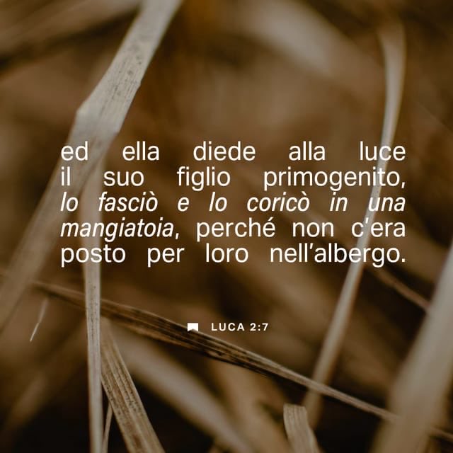 franpull's tweet image. 