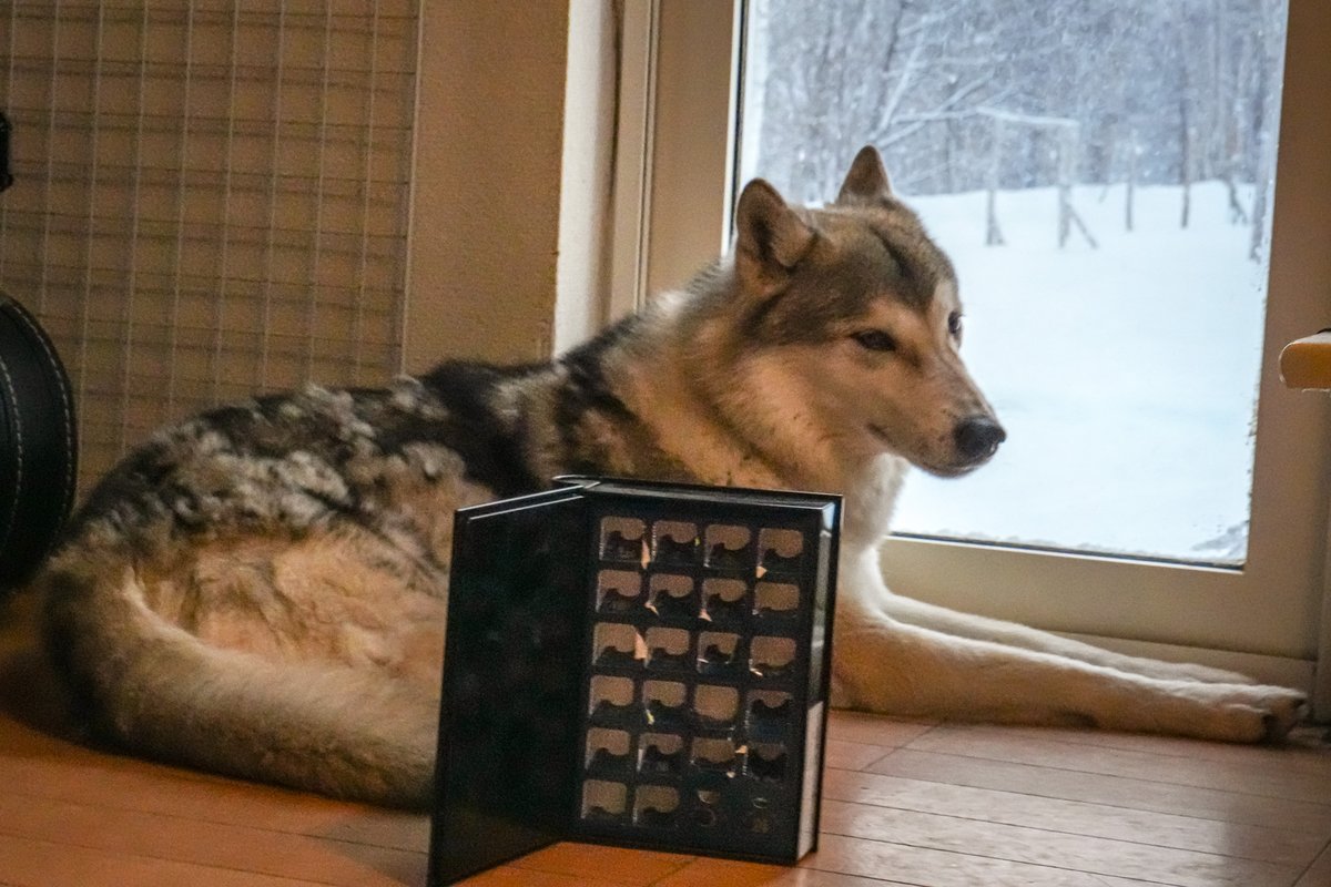 麦 (@mugi99747) / Posts / X