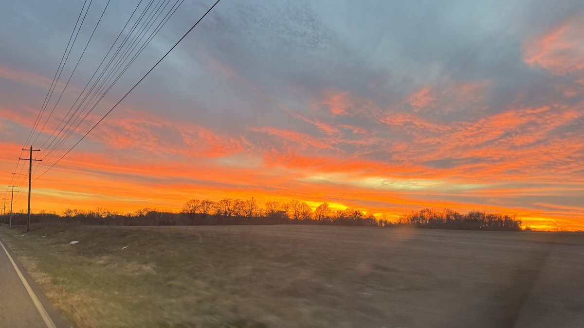 kim xie yuzhe tweet media