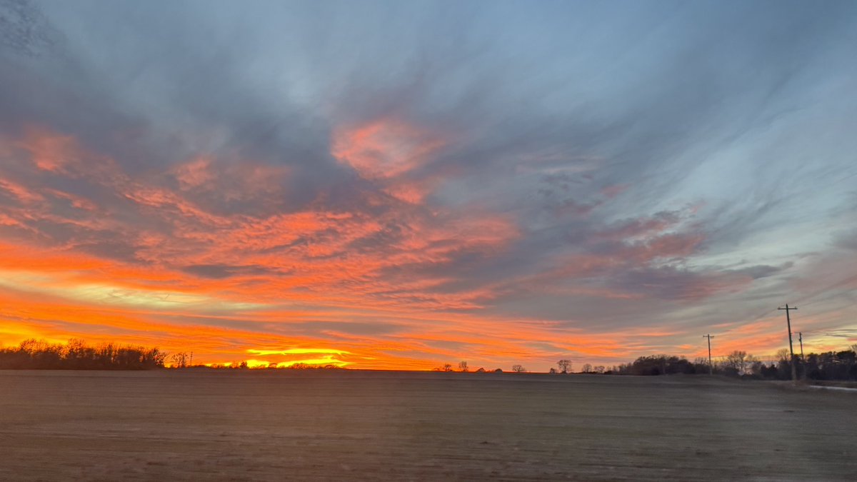 kim xie yuzhe tweet media