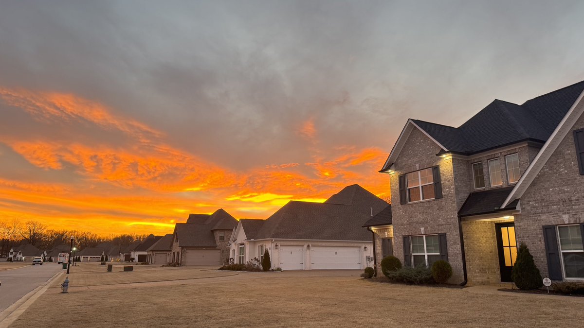 kim xie yuzhe tweet media