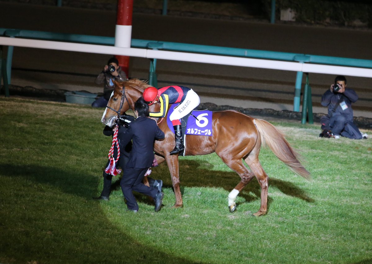 オルフェーヴル　引退式額装写真 オルフェーヴル 引退式額装写真 オルフェーヴル 引退式額装写真 日刊