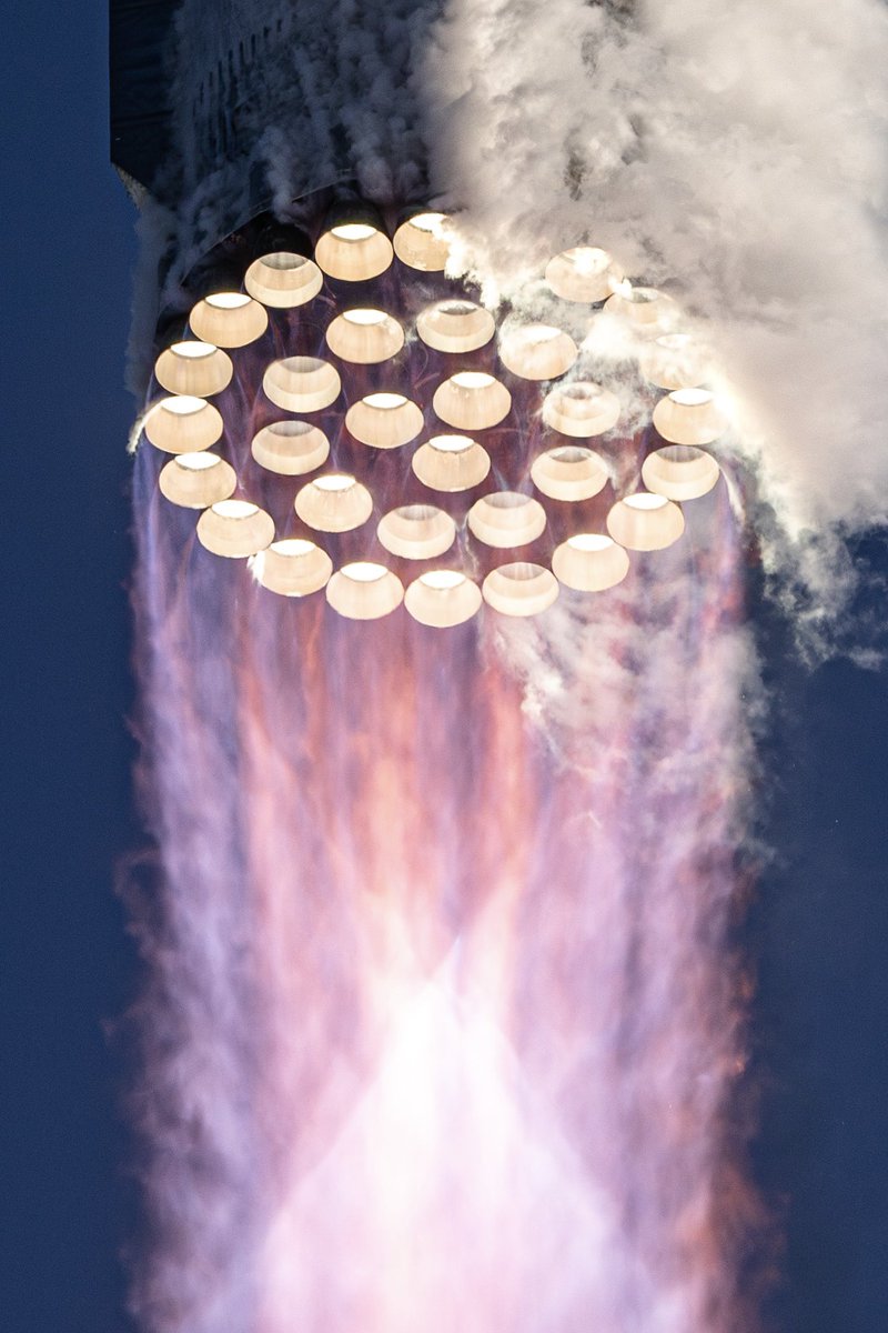 Max Evans tweet media