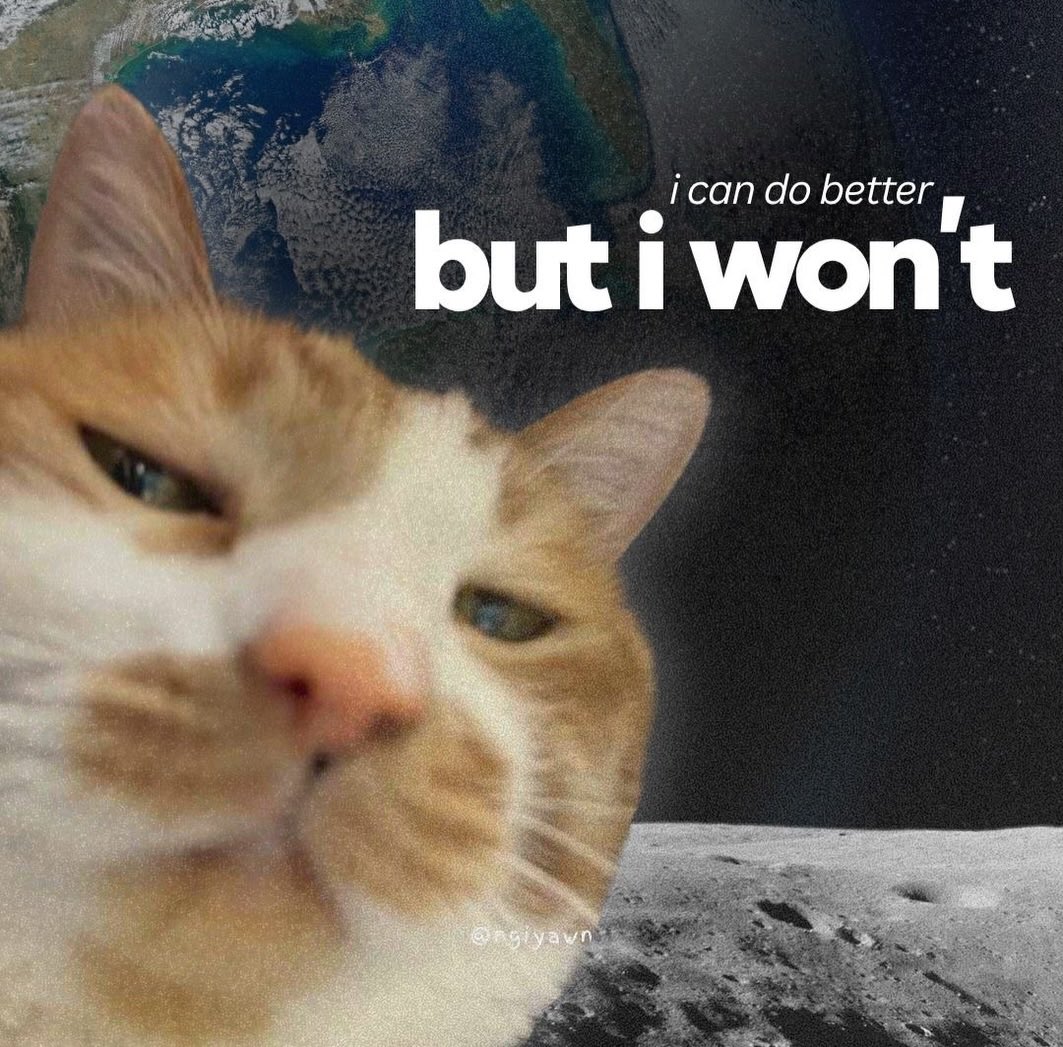 literallymecats's tweet image. 