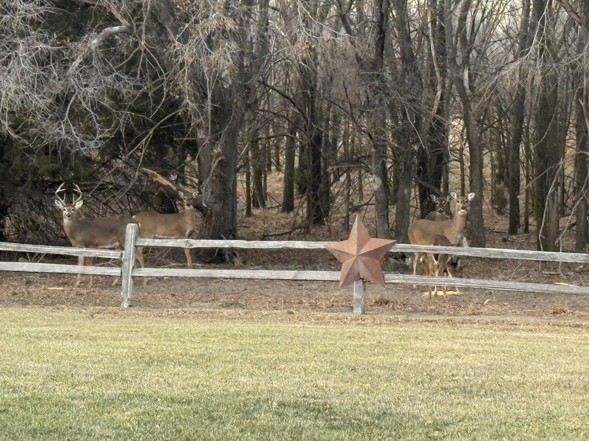 Jason Luft tweet media