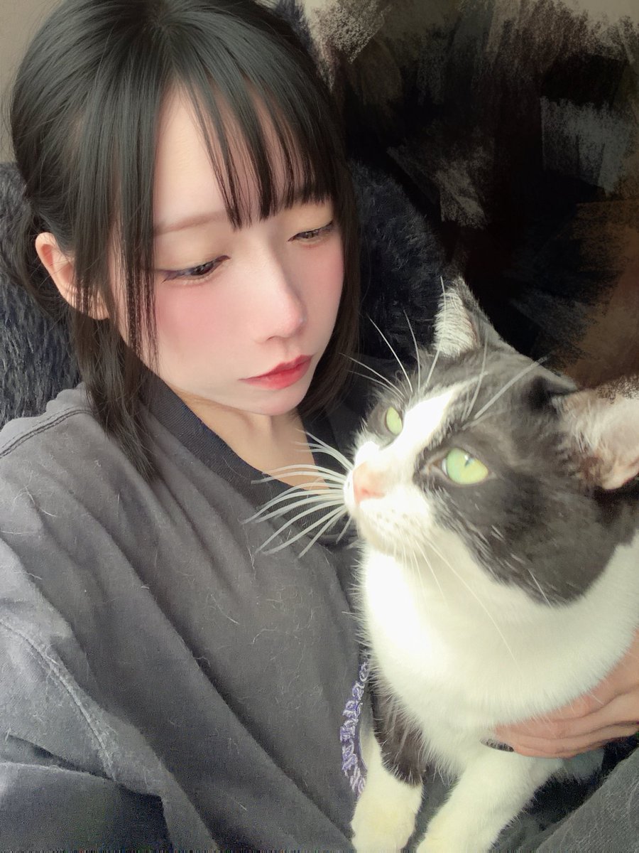 貴方のあんちゃん【VAMKISS】 (@unsan_hoshizora) / Posts / X