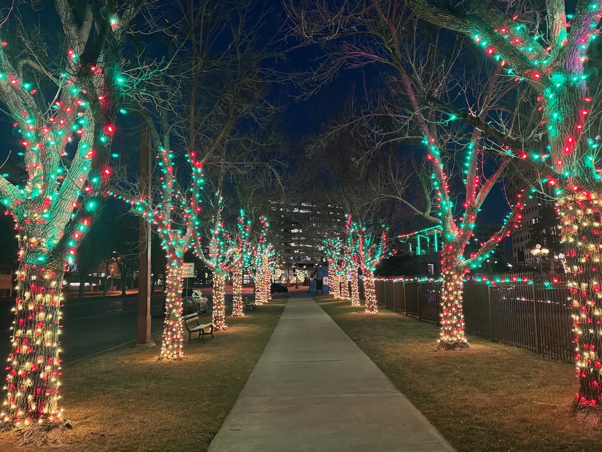 ❄️🌙 Wishing you a peaceful Winter Solstice! 
Tonight we can appreciate the quiet beauty of darkness, while looking forward to the return of lighter days ahead. ✨