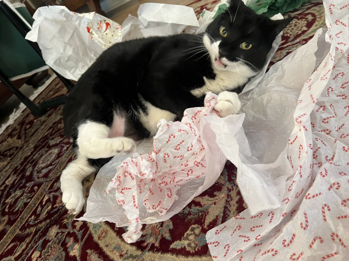 Gerry Ressler ❤️ Red tweet media