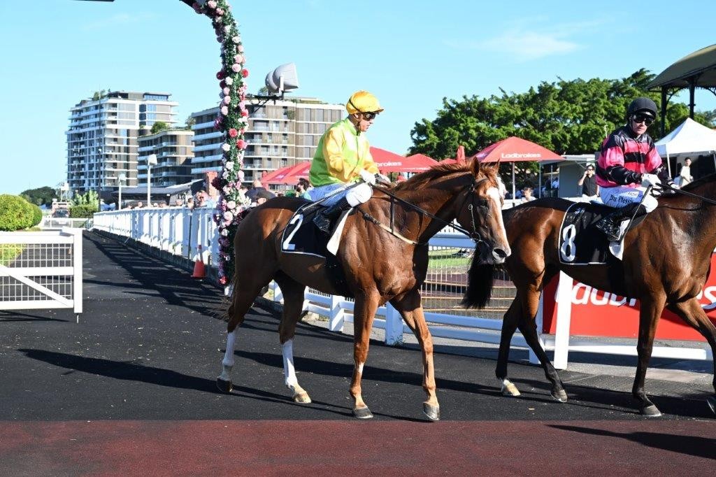 tonygollan's tweet photo. 💥TRACKSIDE WINNER OF THE WEEK 💥
Our #WinnerOfTheWeek presented by Trackside Photography is Rockribbed!
Rockribbed won the Listed Lough Neagh Stakes over 1300m at Eagle Farm on Saturday ridden by Ryan Maloney & strapped by Oscar Rubiano Vega.
ℹ️ https://t.co/G7lIsSN5Ho https://t.co/XsoPd8iLEm