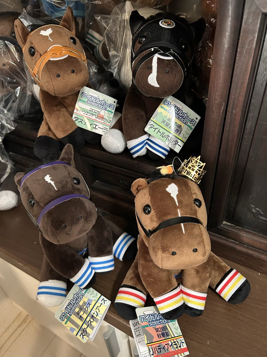 昨日お迎えしたアイドルホース☺️ リバティアイランド スターズオン