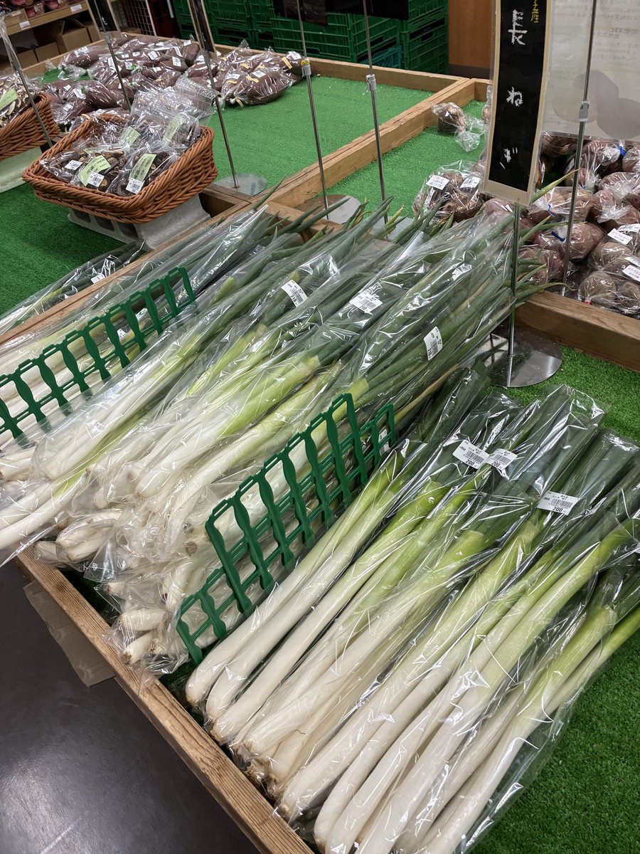 おはようございます☁️ 本日は八王子産の大根、人参、ほうれん草
