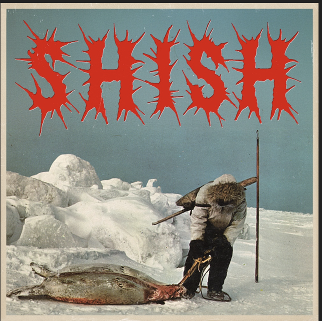ScudderPR's tweet photo. This week's Glacier Rock Show will feature Portugal, The Man’s new album ’Shish”.  The two-hour show will air across the U.S. on the Pacifica Radio Network &amp; simulcast at home on KEUL 88.9; Sat, Dec. 27, 8 pm &amp; Sun, Dec. 28, 11 am.

https://t.co/mWieaRHI7B

@ThirtyTigersPR #radio https://t.co/MZG27rmDa3