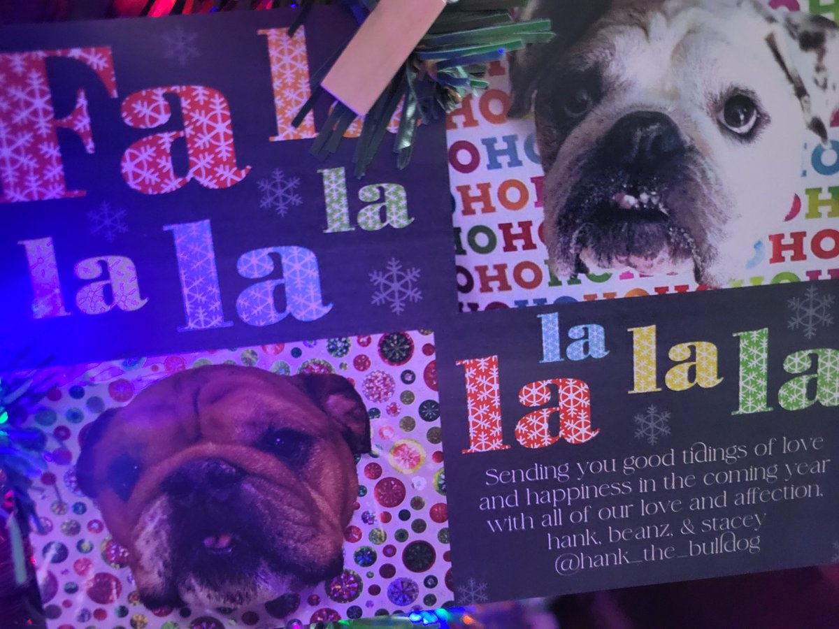 mprinvale's tweet photo. Thank You @CaymusPug Hank The Bulldog and the Nelson Family for the adorable Christmas Cards.  My Christmas Tree is almost full of cards!!! 
#pug #falalalala #deckthehalls #Christmas #cards https://t.co/lJiaYncIde