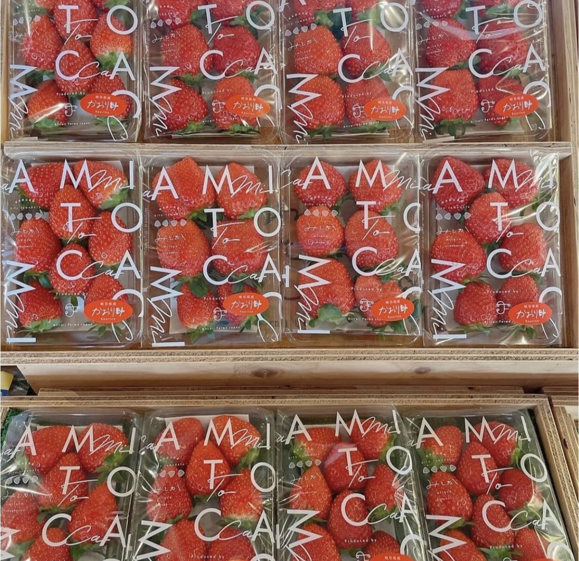 mitocagifu's tweet photo. 皆さまおはようございます☺︎
カフェ店内にて『いちごパック』
販売中です！🍓

本日の品種は...♡
◎かおり野
◎よつぼし
◎紅白パック(かおり野 × 白いちご)
◎3粒いちご(かおり野 × 紅ほっぺ ×白)

#体験農園みとか #mitocafe #みとか
#岐阜いちご狩り #東海いちご狩り
#いちごパック #いちご好き https://t.co/wixz6OBPH6