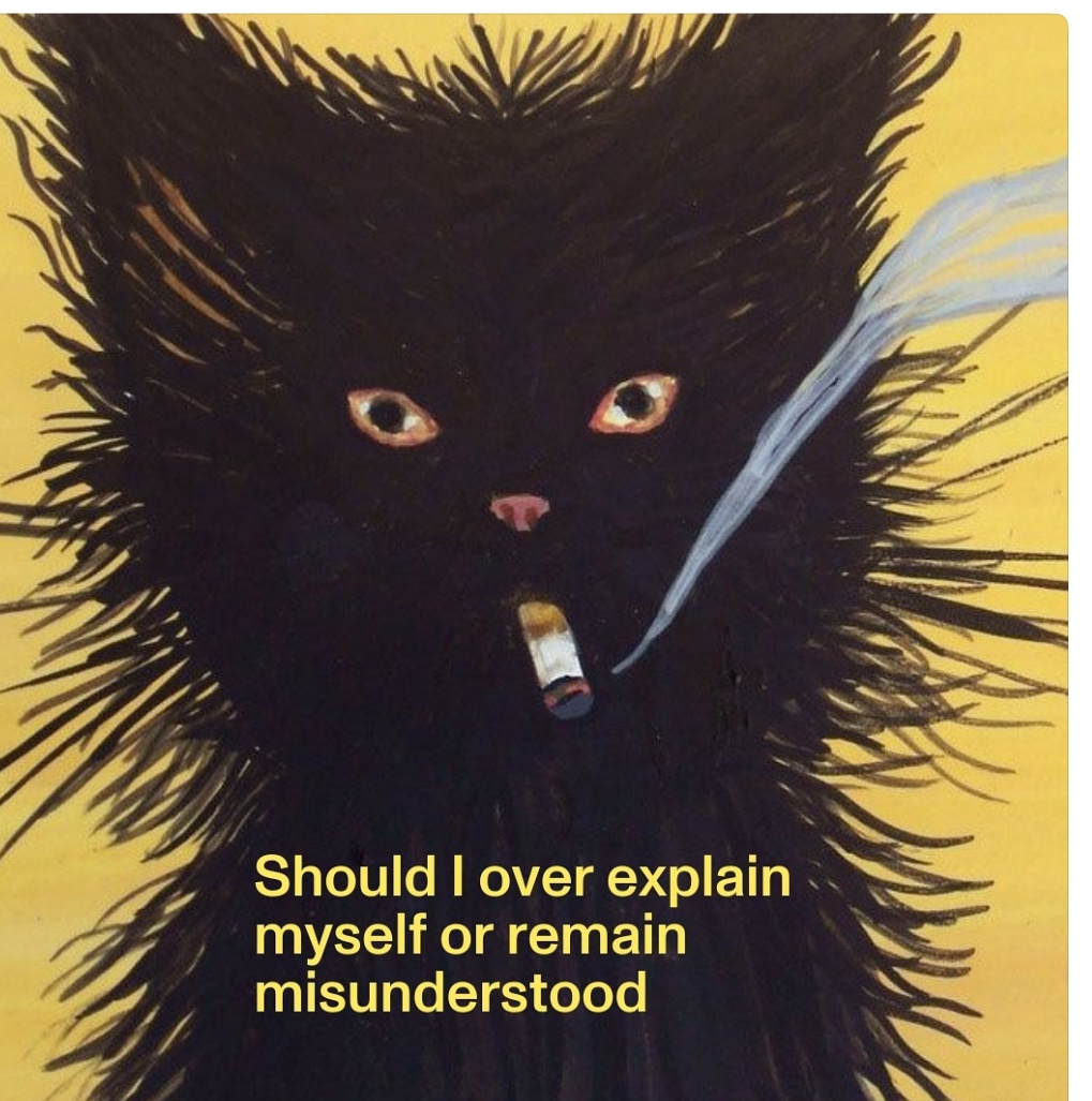 cats with powerful aura tweet media