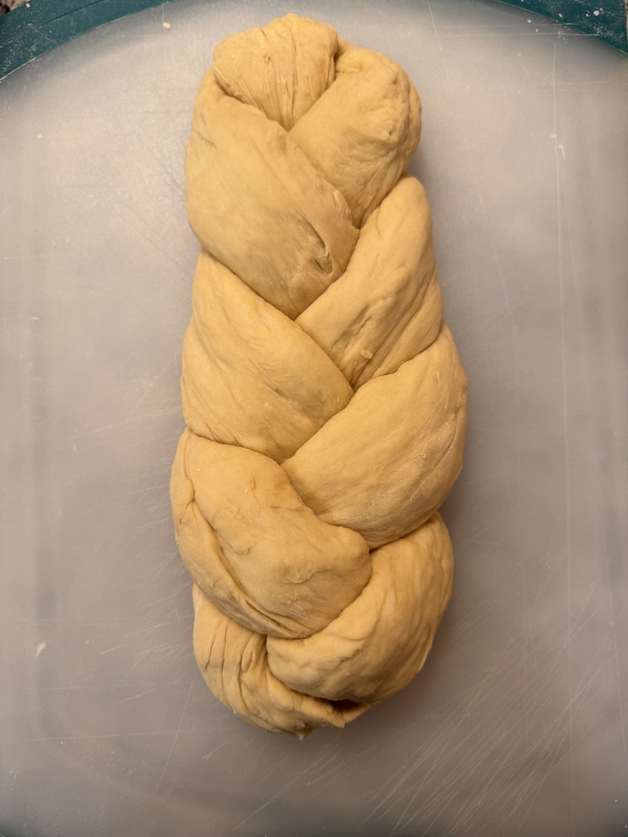 Susan Wenograd tweet media