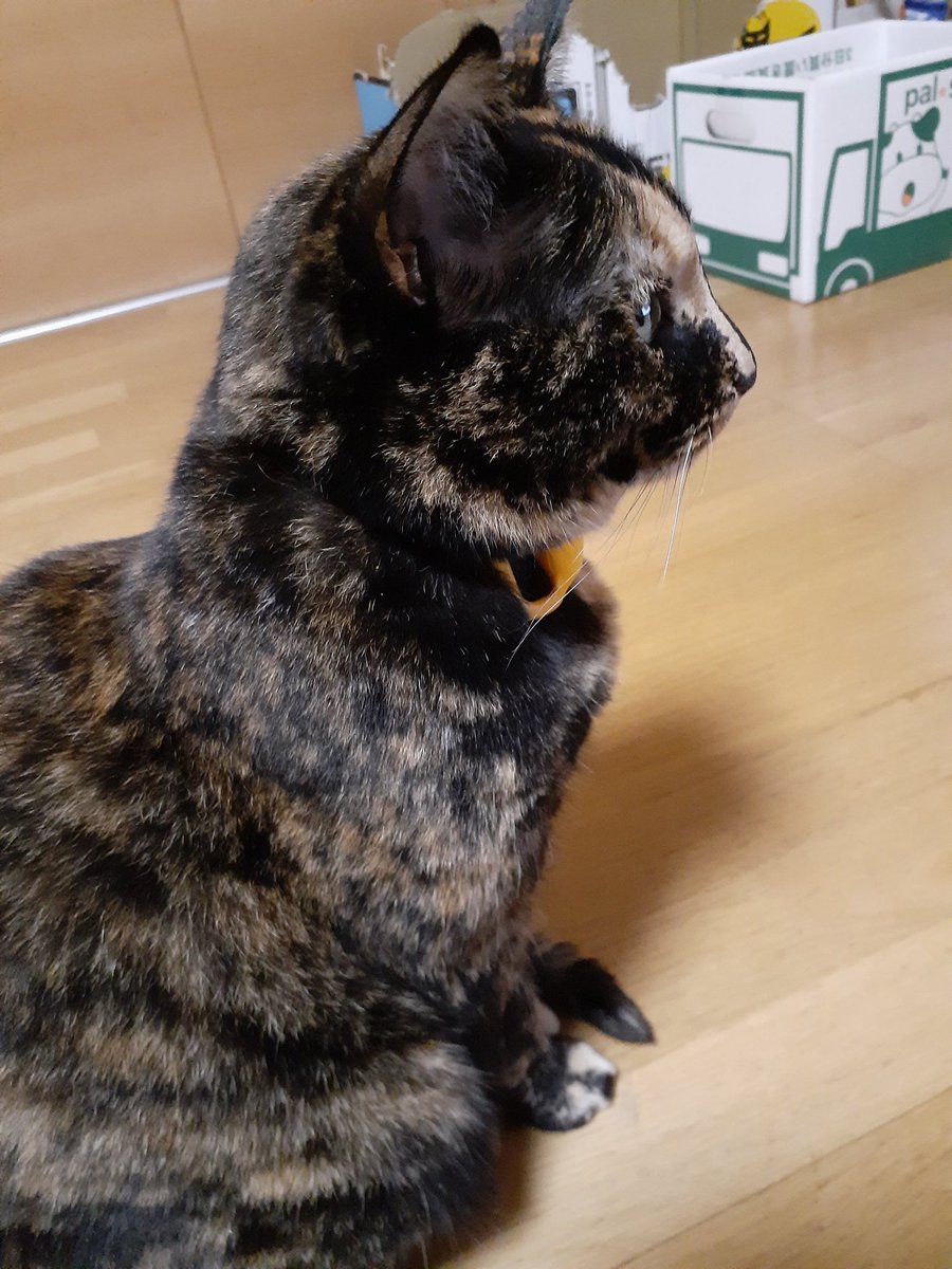 はるるん (@RNPrJ9xfX3PSoaA) / Posts / X