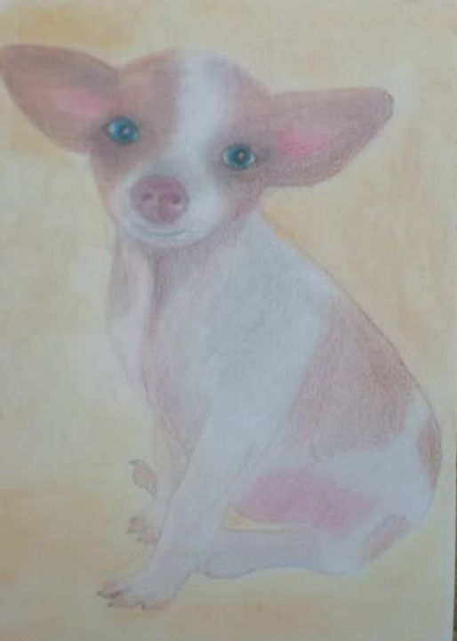 199Dawn's tweet photo. Art of the Day! "Chihuahua". Buy at: https://t.co/QwcW89hXsD https://t.co/PdtrQvElAm