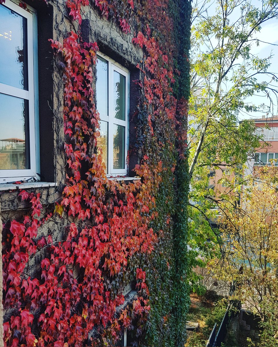 En uzun gece de olsa bitiyor işte. Gününüz güzel ve aydınlık olsun. Günaydın dostlar 💚💛🌸