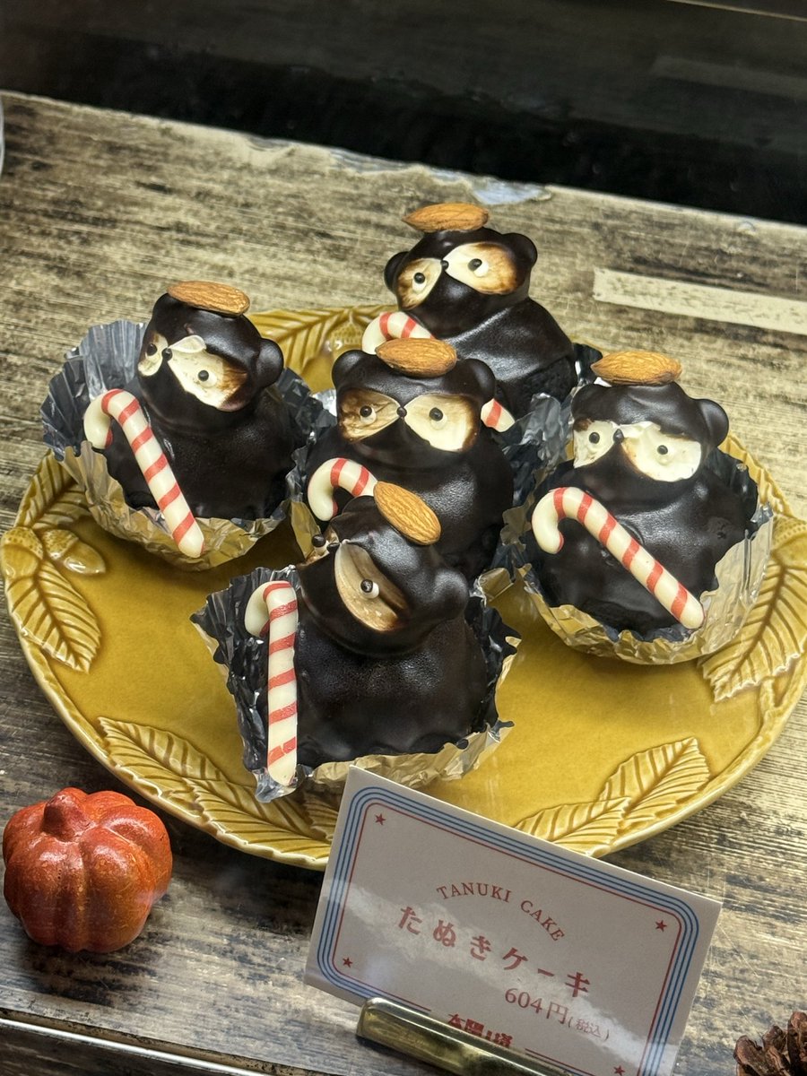 Post by ま め 蔵 on X: たぬきᐢ⓿ᴥ⓿ᐢ