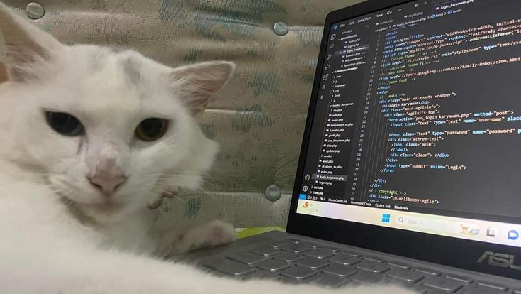 Sk Akram tweet media