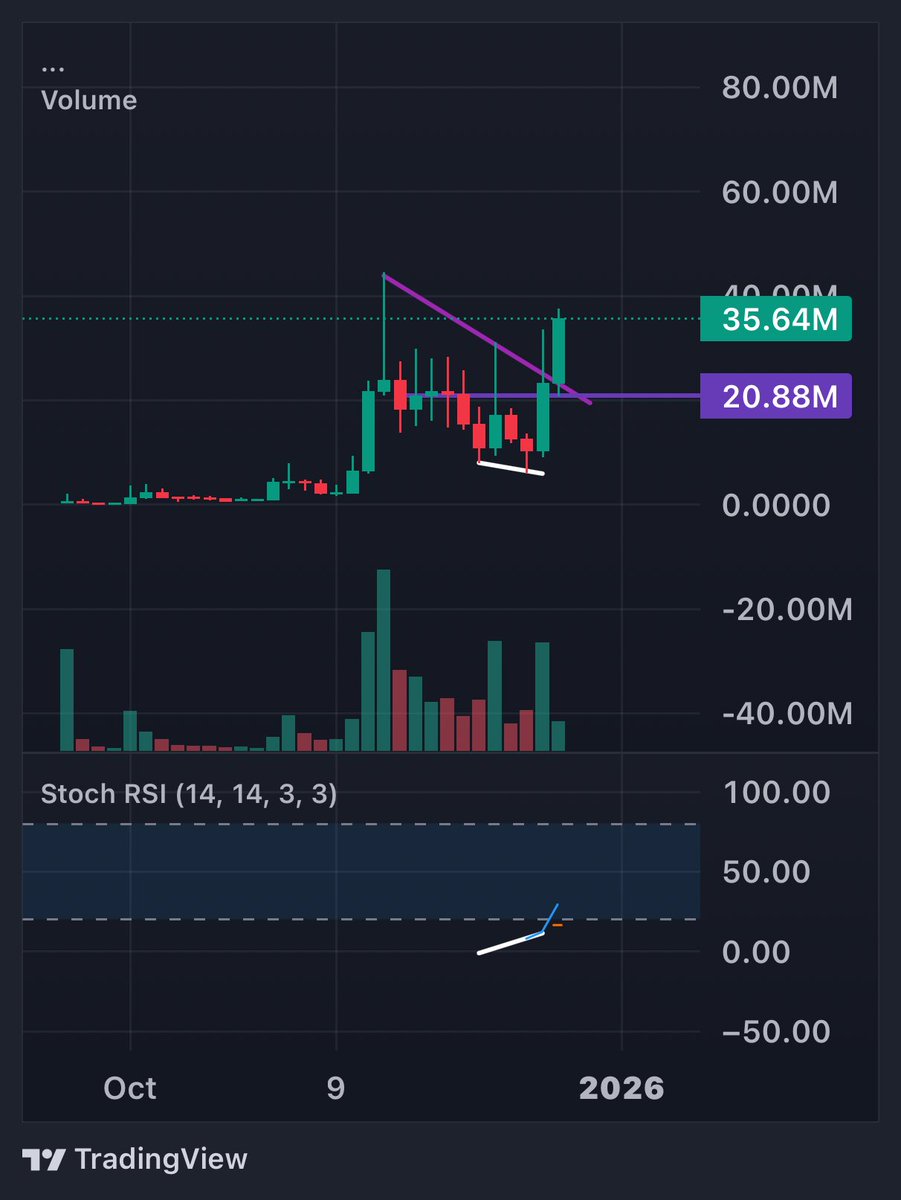 shinny𝙟𝙪𝙪𝙠𝙪 ⛩️🏁 tweet media