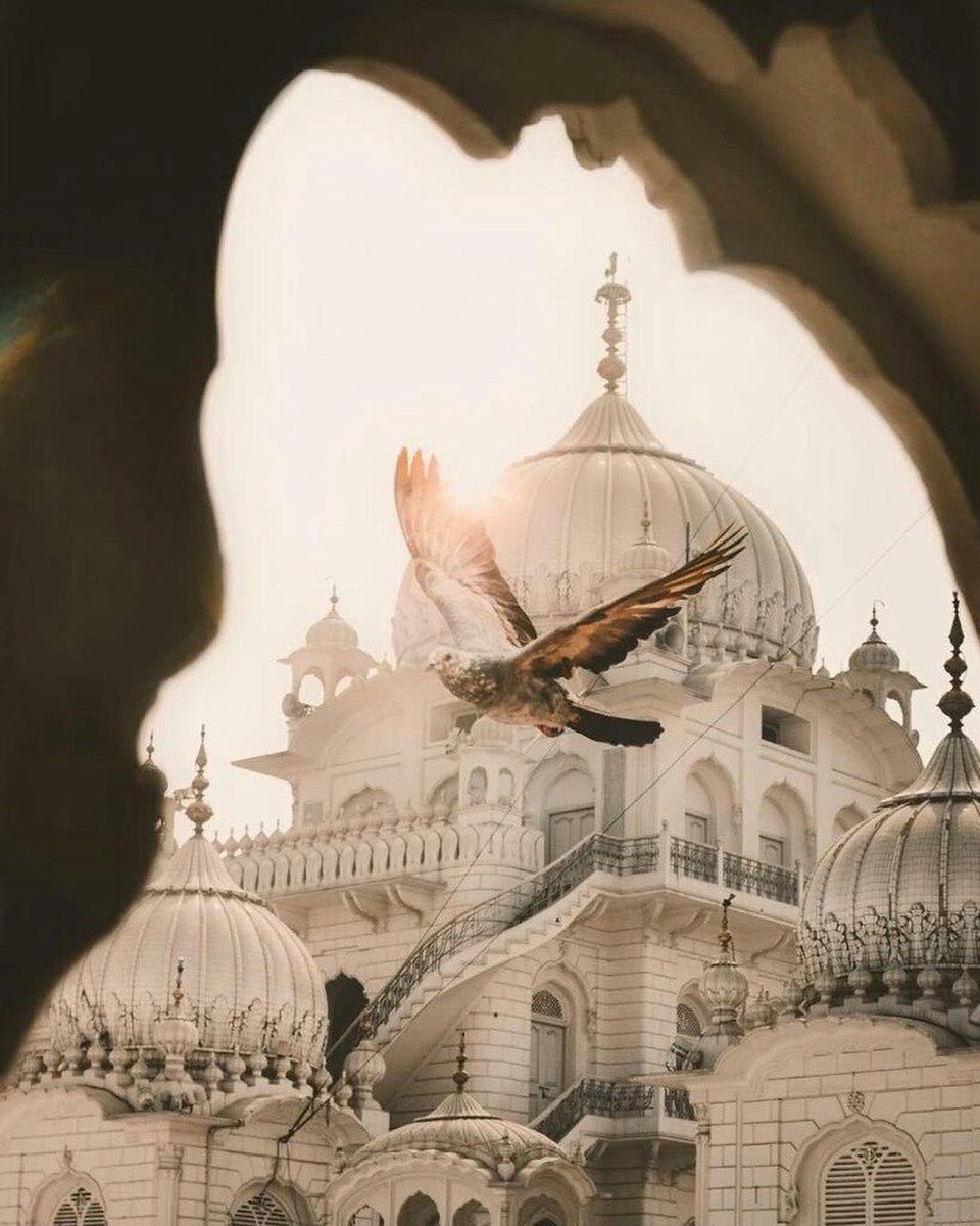 Randeep Gill tweet media