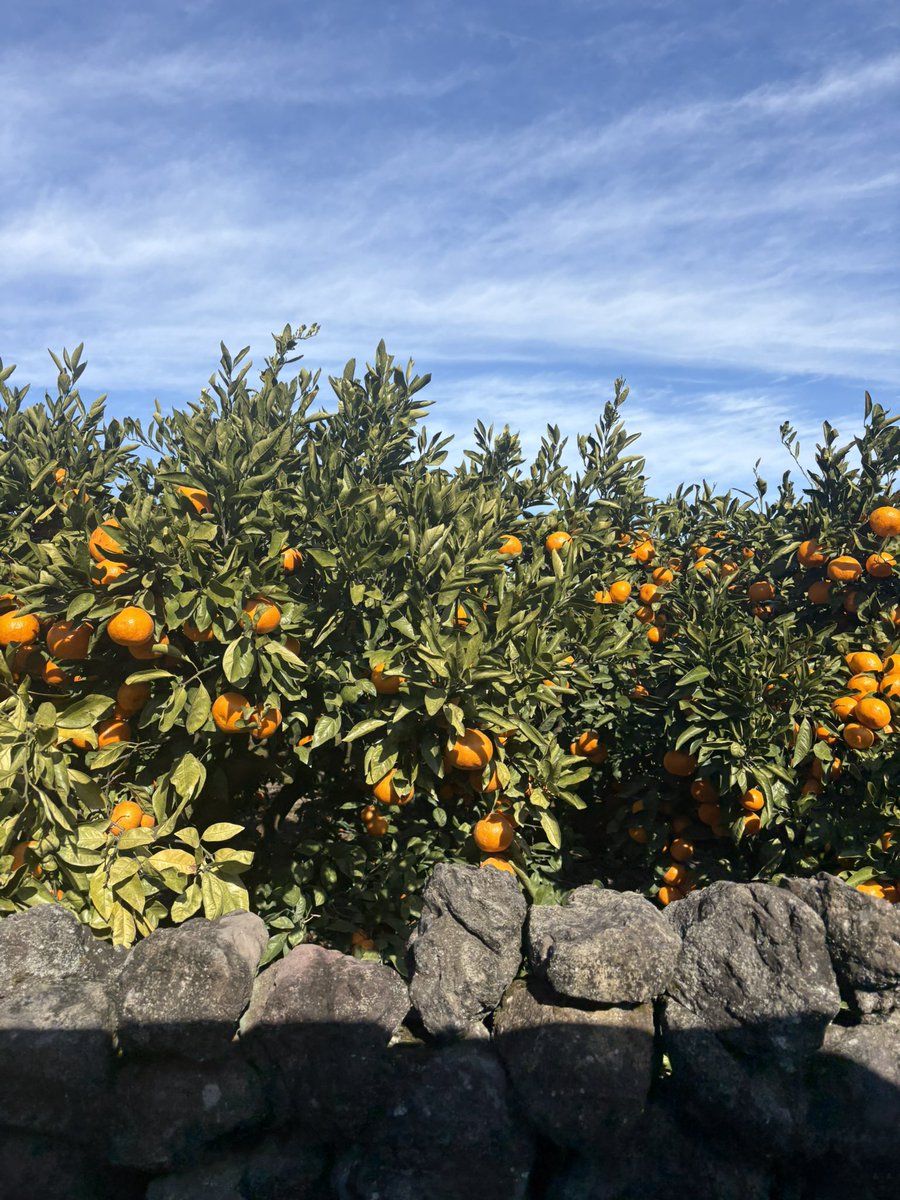 탈세돈세탁[구글도배,구글찌라시 텔 𝑮𝑺𝑬𝑶8]비트24시간매입.pkg