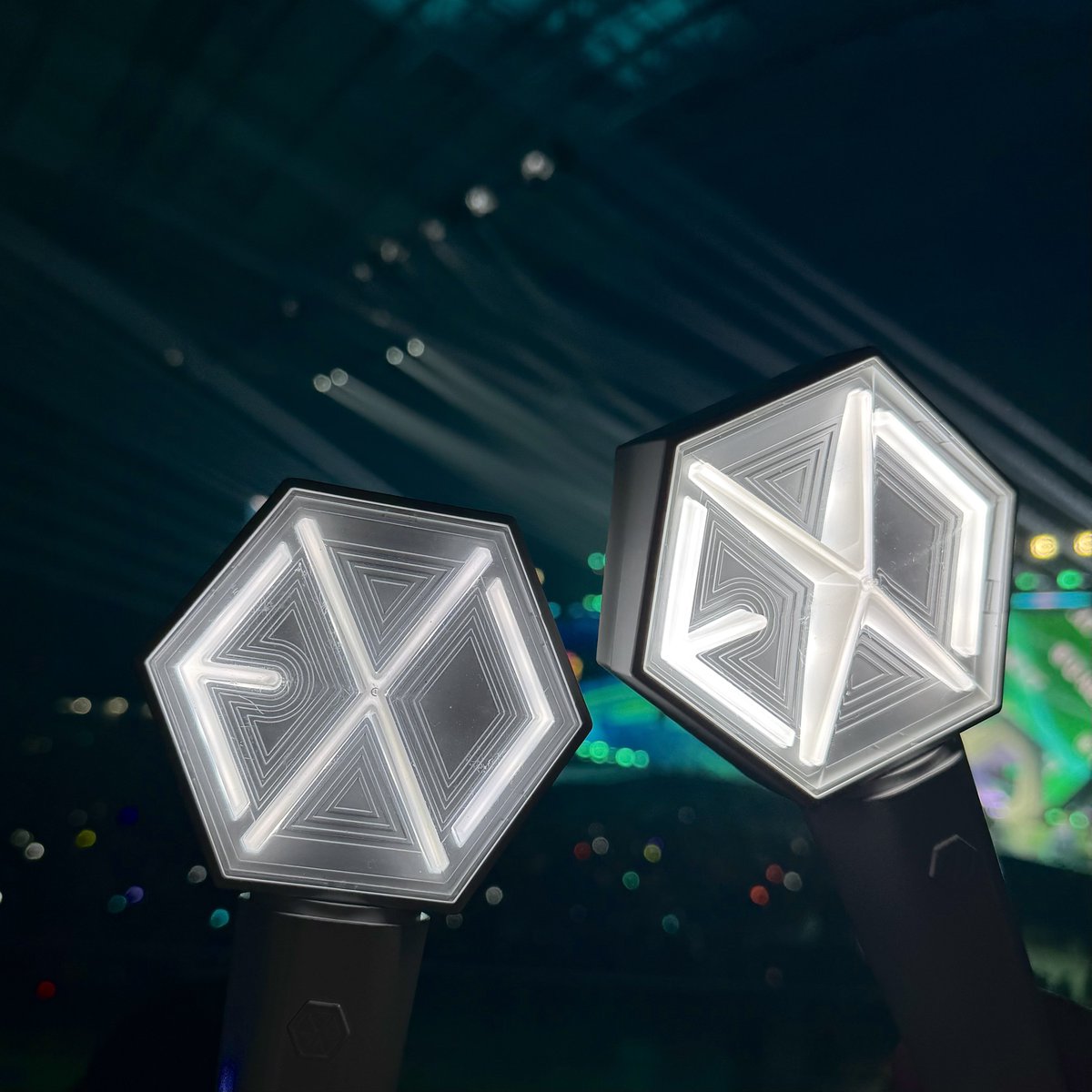 주말에 멜뮤 가서 으르렁 외치고 왔서요 🐺