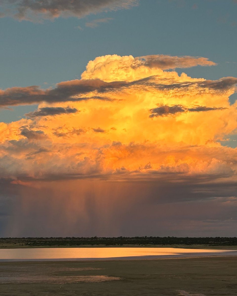 This Monday Moment of Chill comes from Mabuasehube, where Nic Kruger captured the awe-inspiring sight of rain in the Kalahari. The monumental clouds, the golden light, the promise of new life...  it's a picture of what makes summer so special.