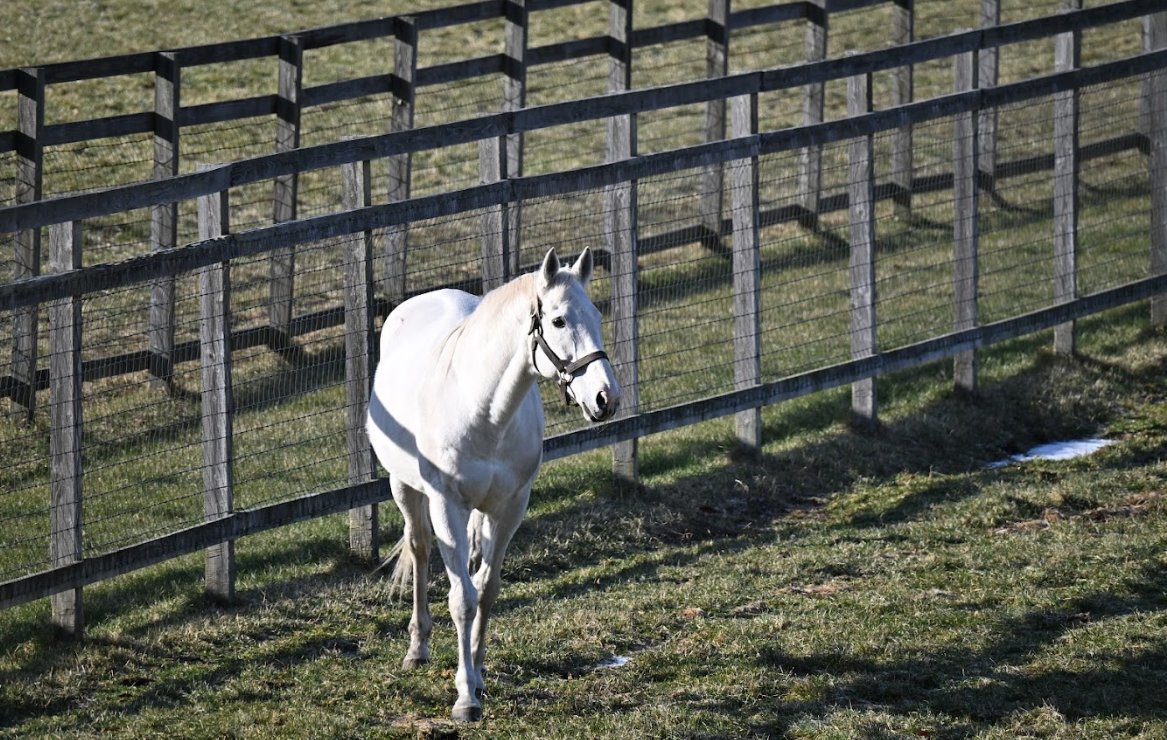 うっちーページ ヘビーワッフルバイカラートップス｜MEN｜251IST80-170B｜AZUL BY