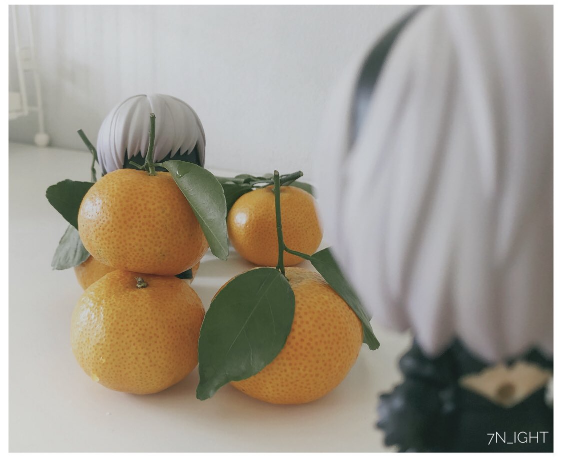 ⊹₊夜🌸₊⁺ tweet media