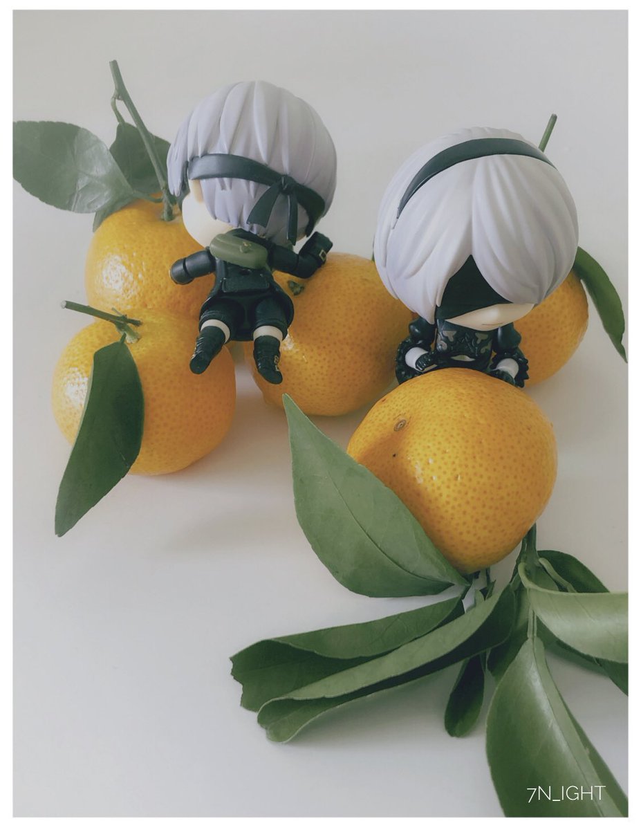 ⊹₊夜🌸₊⁺ tweet media