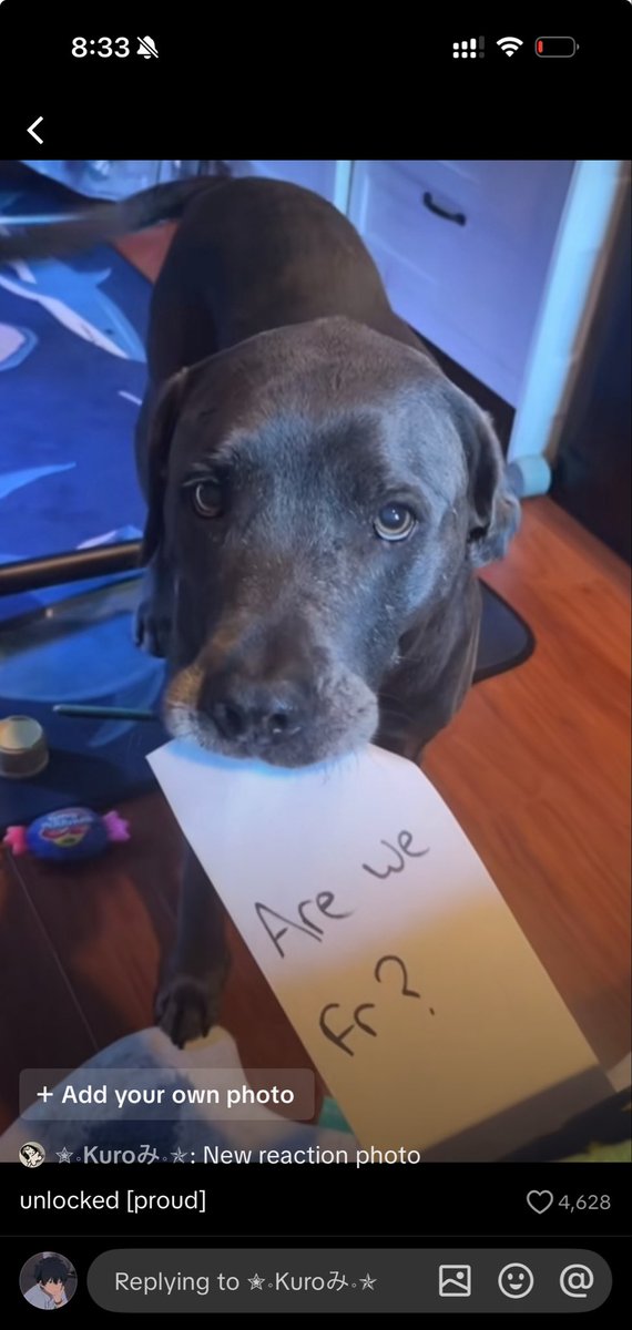 Pookie jr tweet media