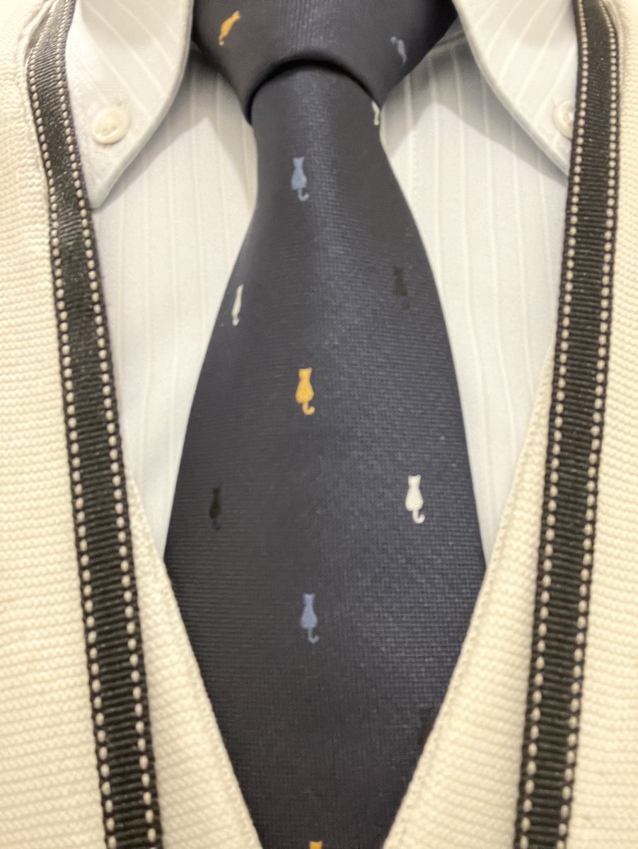 mog🐾 (@CLUB_No26) / Posts / X