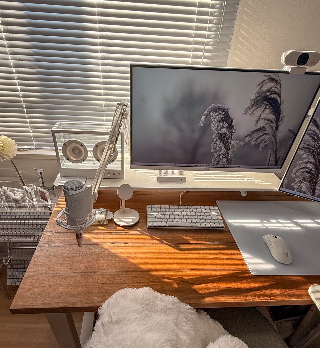 e_r_u_c's tweet image. 𝘖𝘯𝘭𝘺 𝘰𝘯𝘦 𝘸𝘦𝘦𝘬 𝘭𝘦𝘧𝘵 𝘪𝘯 𝘵𝘩𝘦 𝘺𝘦𝘢𝘳.

#desksetup #interior