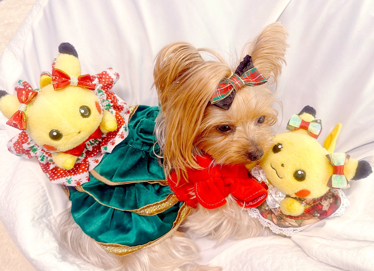 初期ピカなど 初期ピカチュウ 【公式通販】