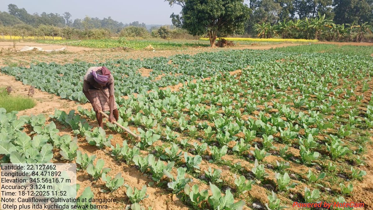 PSU_Otelp Plus tweet media