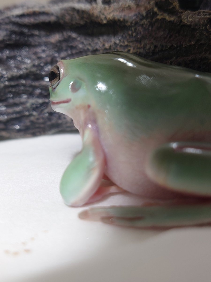 ﾌﾟﾘﾌﾟﾘﾁｰ！