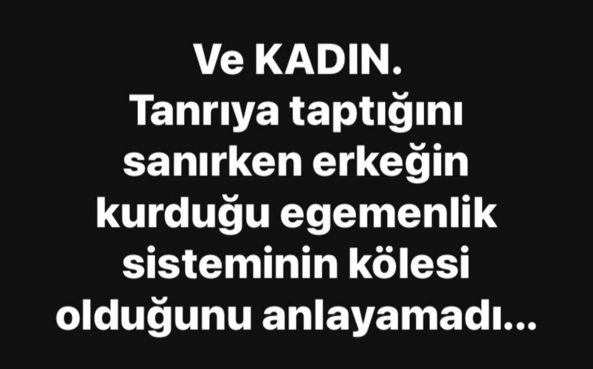 MesutMesut tweet media