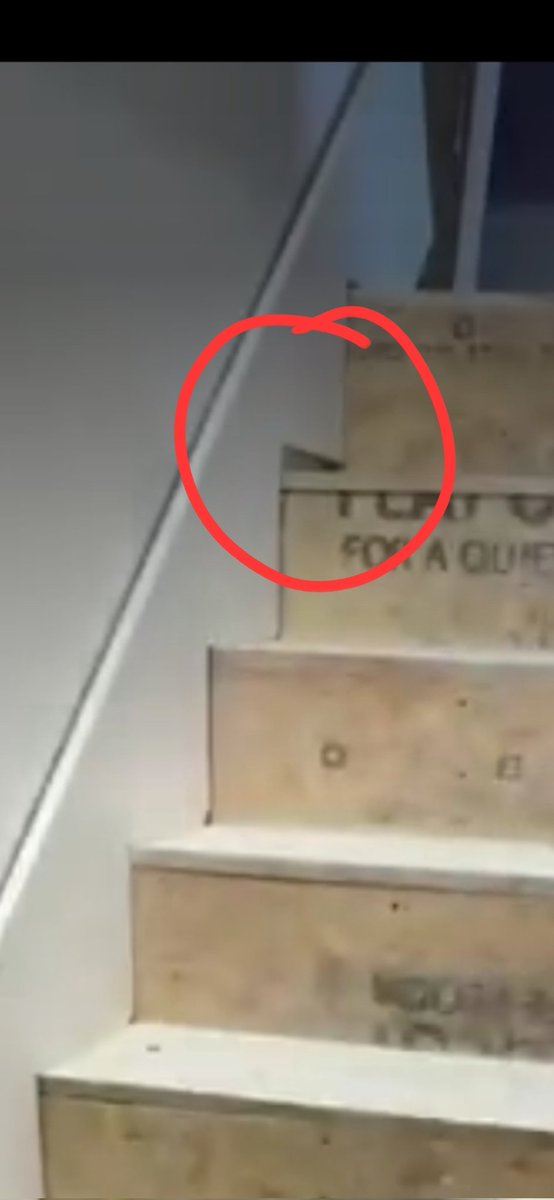 Brandon Hannibal Donkey tweet media