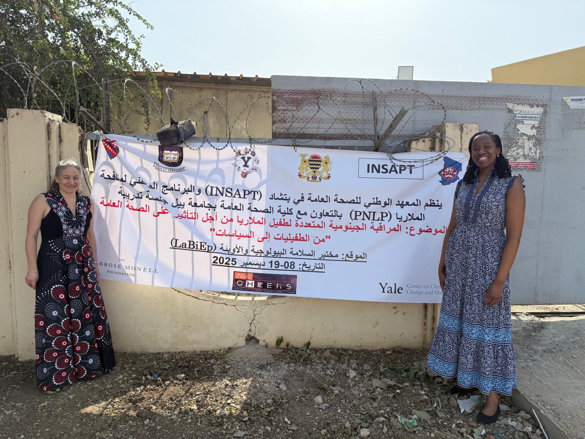 Amy Kristine Bei tweet media