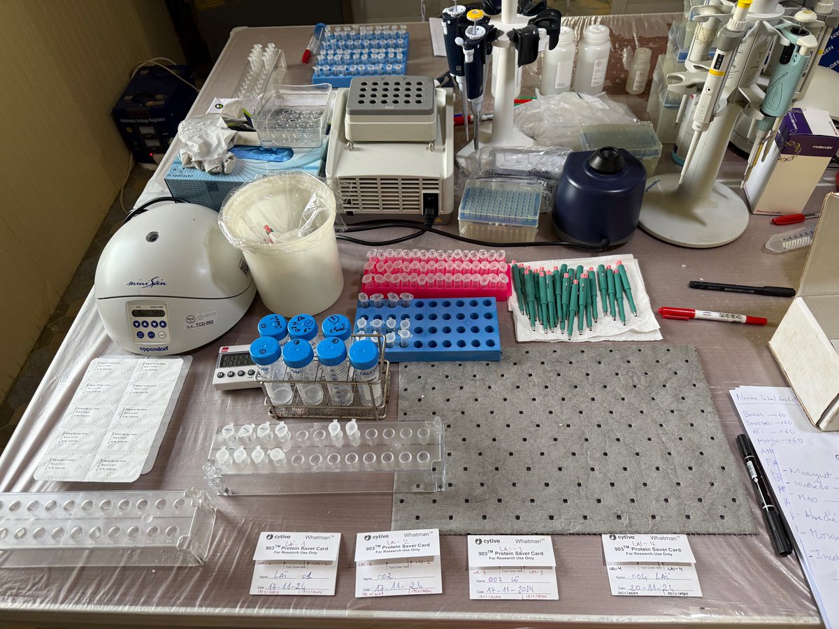 Amy Kristine Bei tweet media