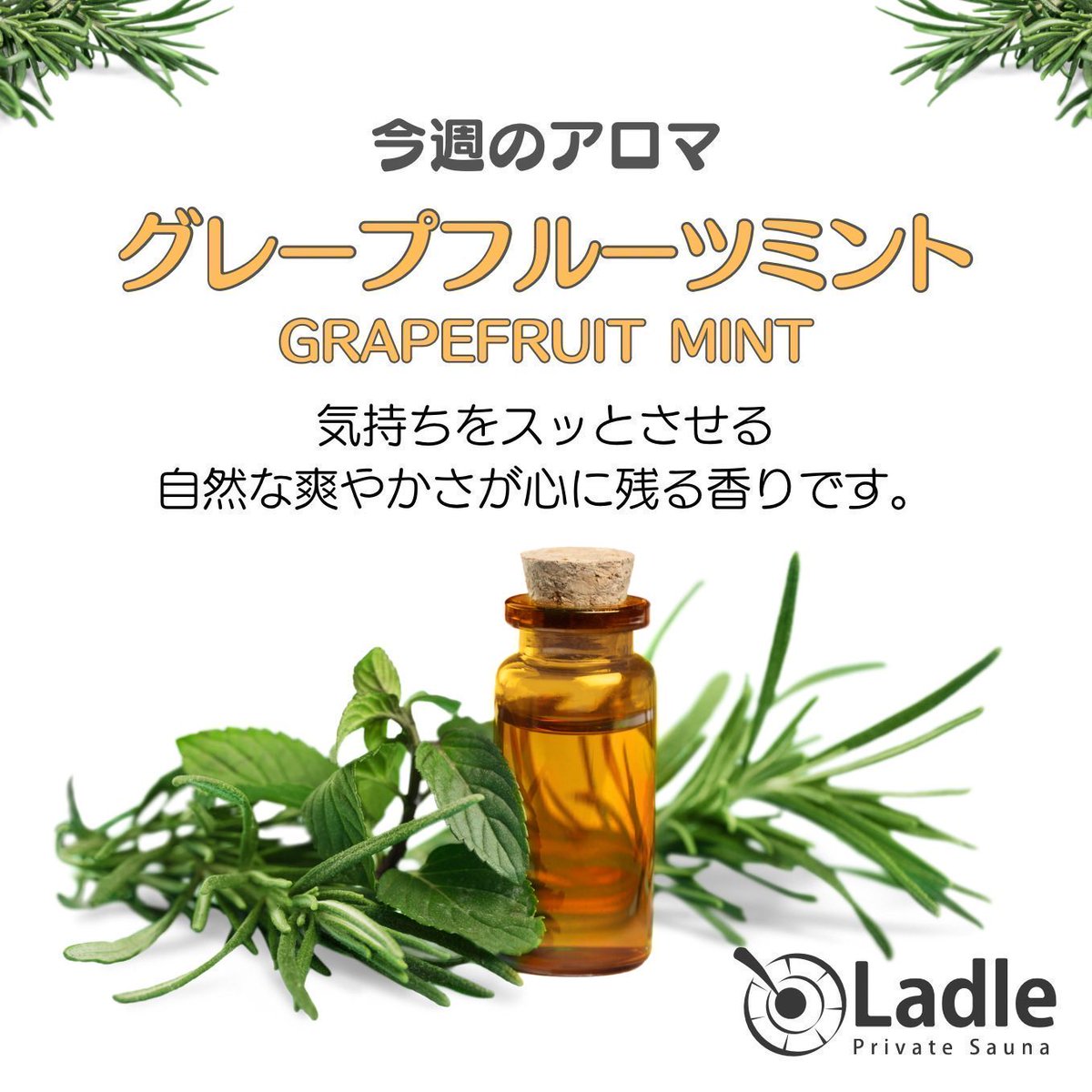 @aroma グレープフルーツミント おはようございます✨ プライベートサウナLadleです。 今週のアロマは
