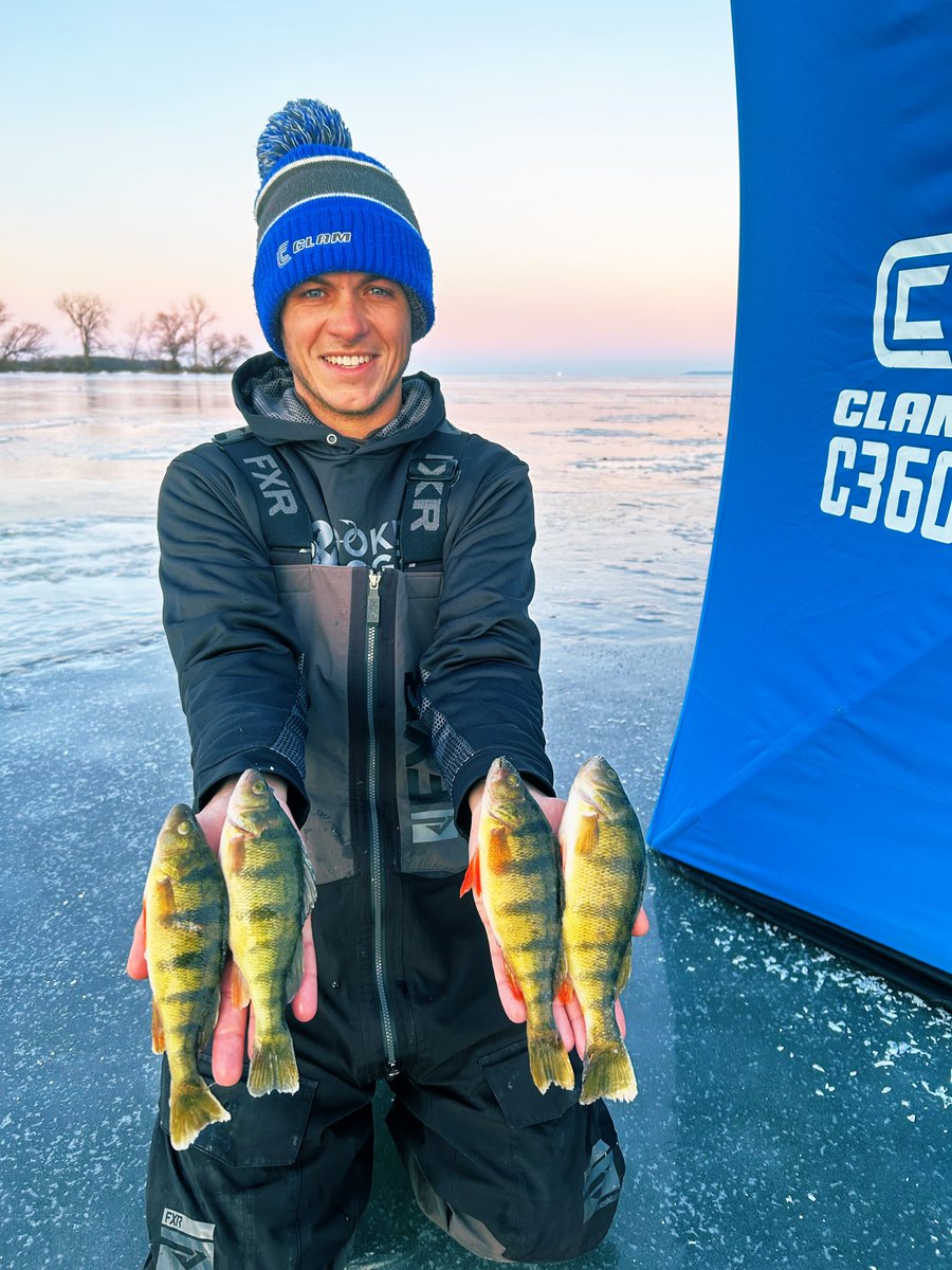 jner_tan's tweet image. Gotta love catching big perch through the ice! Had a blast today sight fishing panfish in shallow water!👊🏻🔥 #fish #fishing #icefishing
