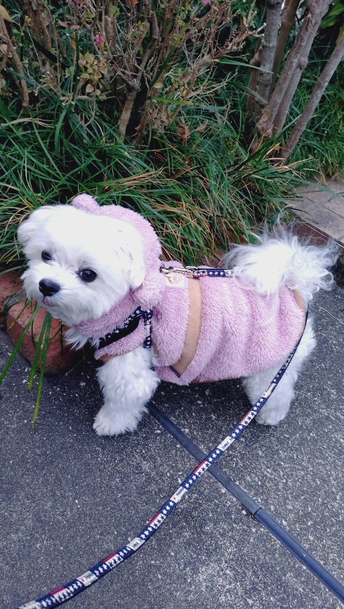 にこまる (@6yQgZFNMNk76215) / Posts / X