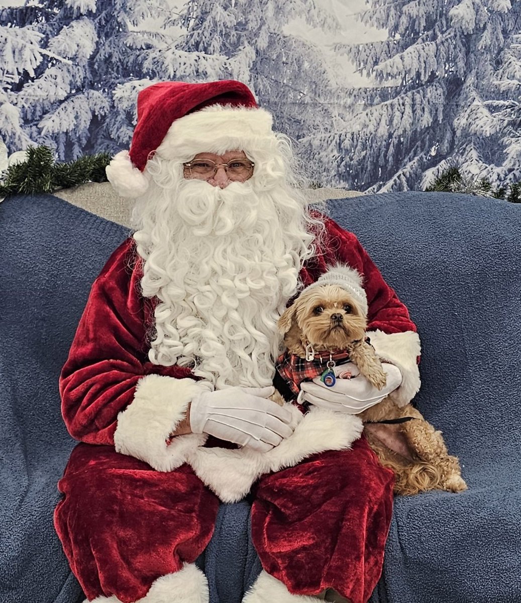 DustyAJohnson's tweet image. Santa confirmed that Peaches is permanently on the nice list and can expect a lot of treats in her stocking because she is a very good girl.
#MerryChristmas #Pawlidays #SpoiledPup 🐾🎄🎅