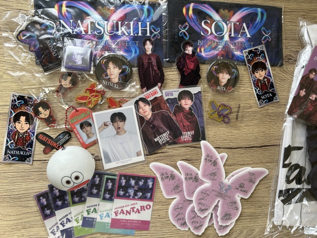 FANTASTICS LIVE TOUR 2025 BUTTERFLY EFFECT FLY WITH YOU 完走